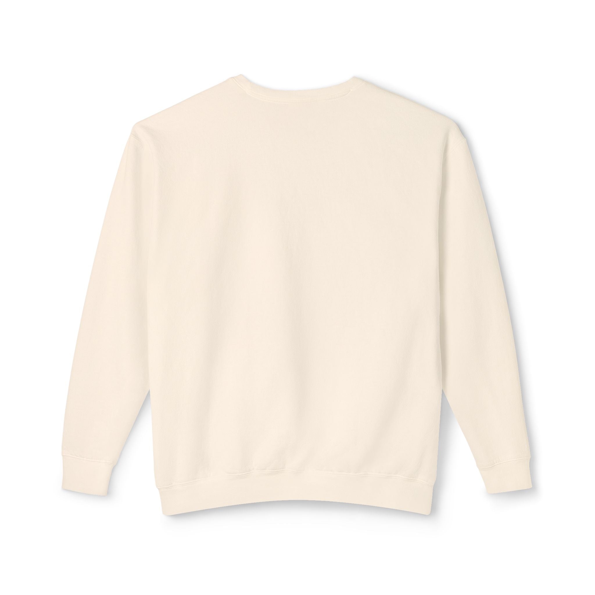 Artifact 13 | Cold Logos Sweatshirt, from TechnoSophy — Statement Ethical Gear for Rational Rebels, Think Tankers, and Chill Logicians